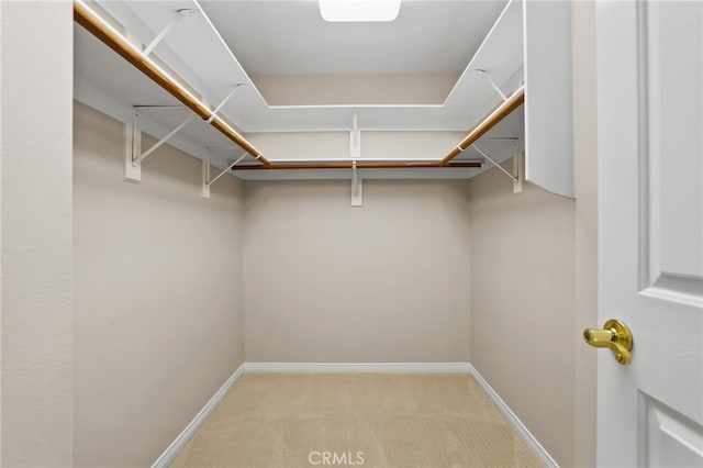 spacious closet featuring light carpet