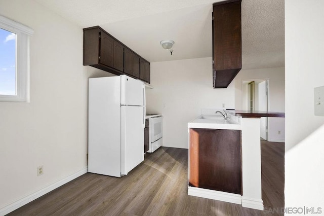 kitchen featuring sink, light hardwood / wood-style floors, a textured ceiling, white appliances, and dark brown cabinets