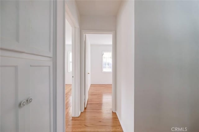 hall with light hardwood / wood-style flooring