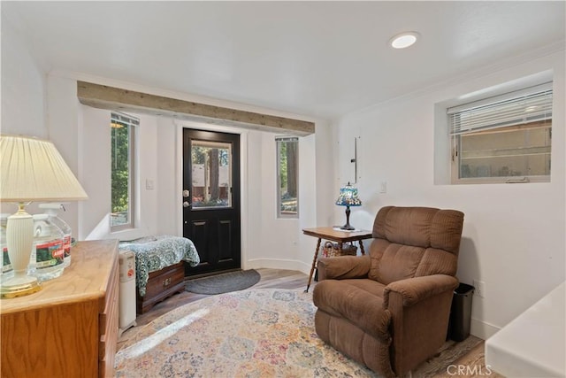 living area featuring hardwood / wood-style flooring