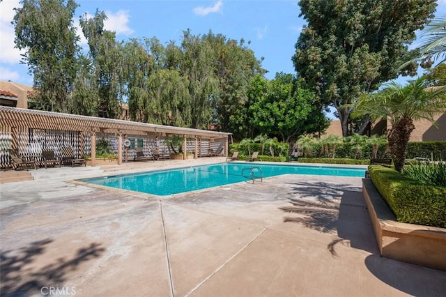 view of pool featuring a patio area