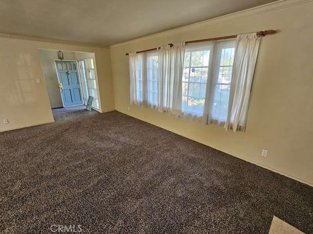 spare room featuring carpet flooring and ornamental molding