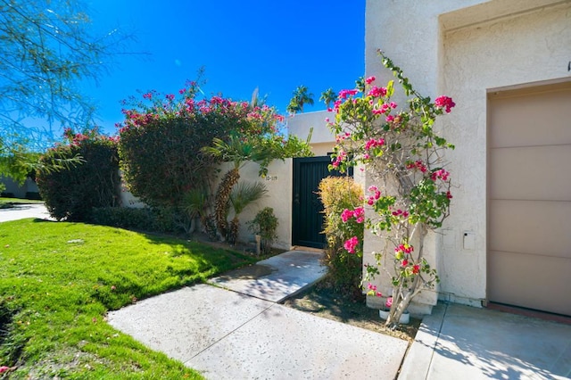 exterior space featuring a yard