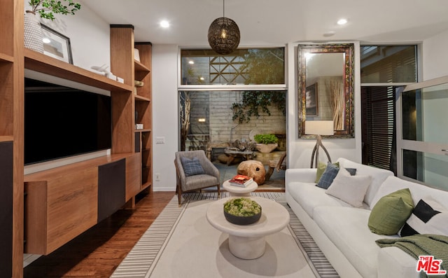 living room featuring dark wood-type flooring