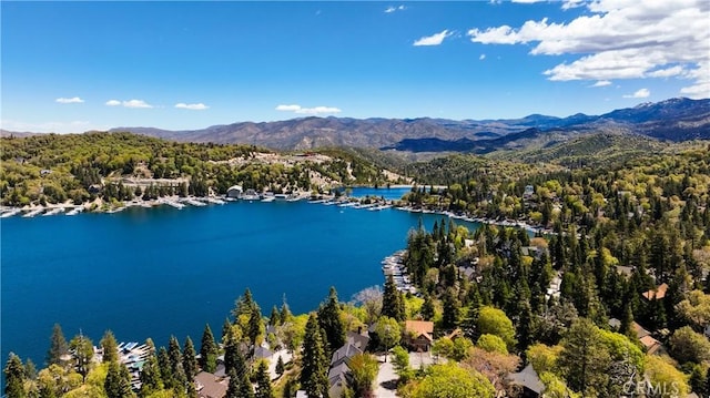 birds eye view of property featuring a water and mountain view