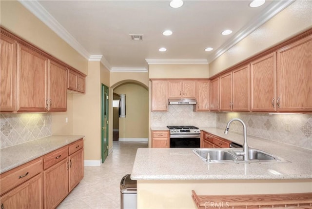 kitchen featuring backsplash, light stone counters, ornamental molding, stainless steel range, and sink