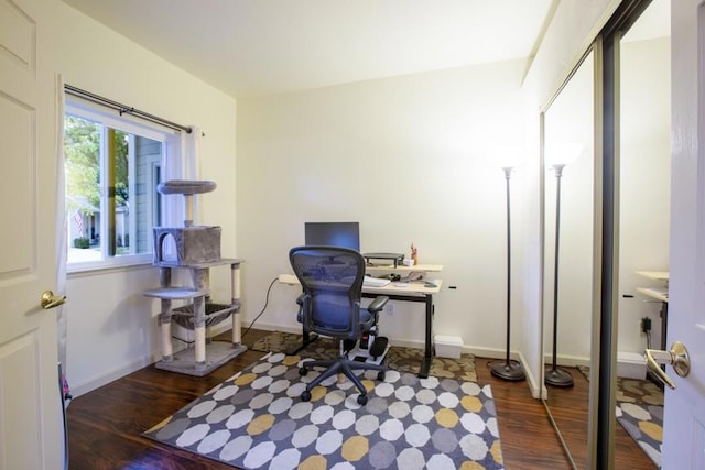 office featuring dark hardwood / wood-style flooring