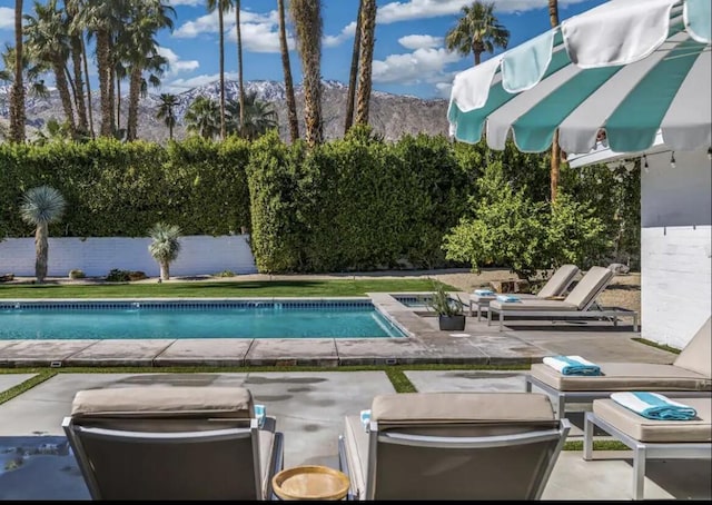 view of pool with a patio