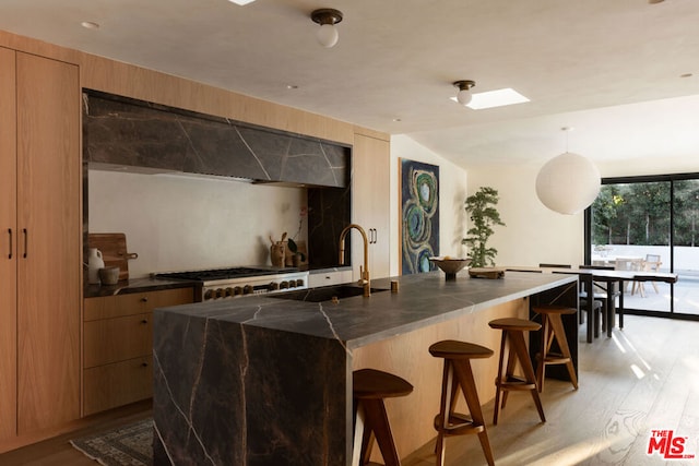 kitchen with pendant lighting, a kitchen island with sink, sink, light wood-type flooring, and a breakfast bar area