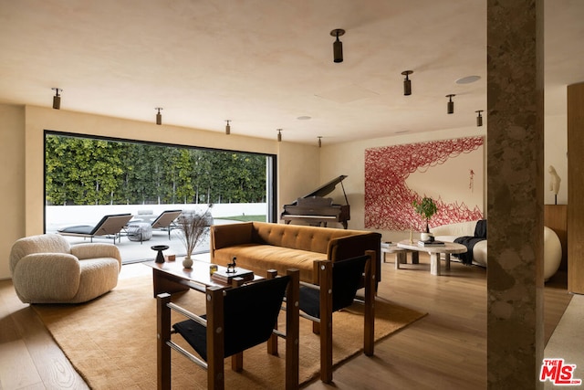 living room with light wood-type flooring