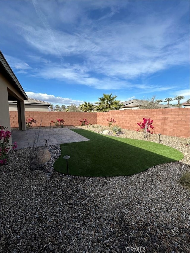 view of yard with a patio