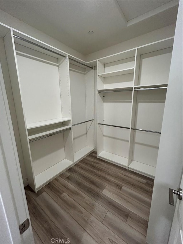 spacious closet featuring hardwood / wood-style flooring