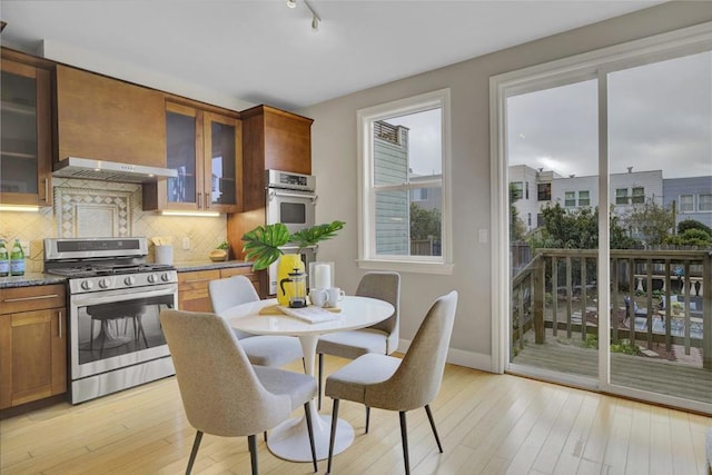 kitchen with light wood-type flooring, decorative backsplash, appliances with stainless steel finishes, and dark stone countertops