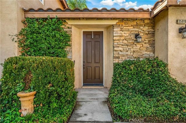 entrance to property with stone siding