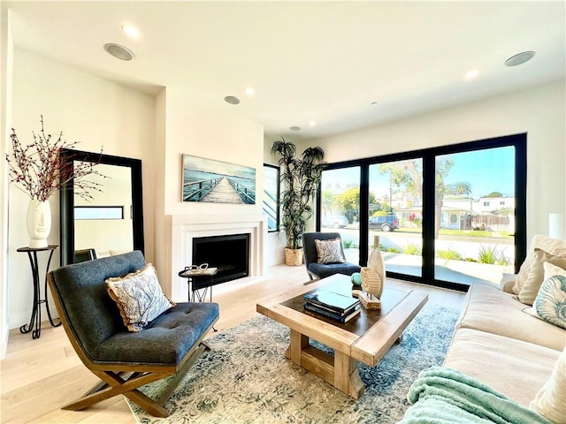 living room featuring light hardwood / wood-style floors