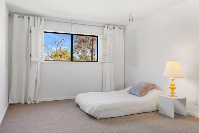 bedroom with carpet floors