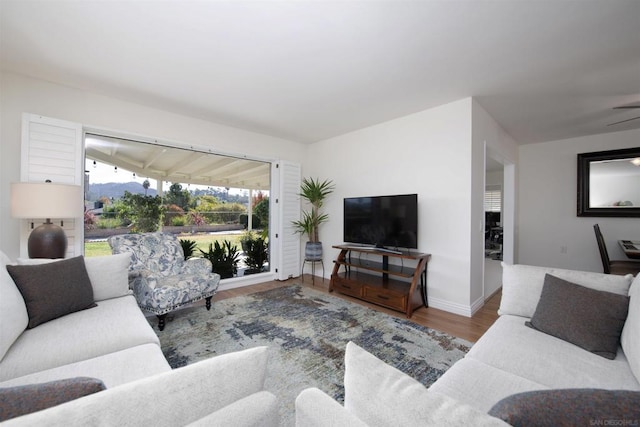 living room featuring ceiling fan and hardwood / wood-style floors