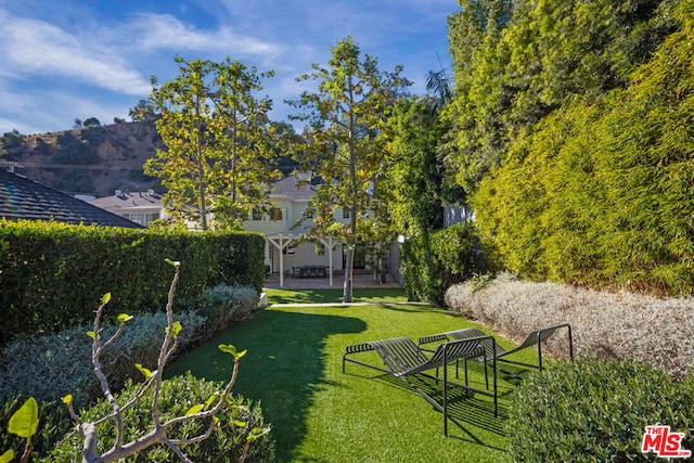 view of yard featuring a mountain view