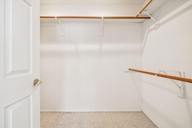 spacious closet with light colored carpet