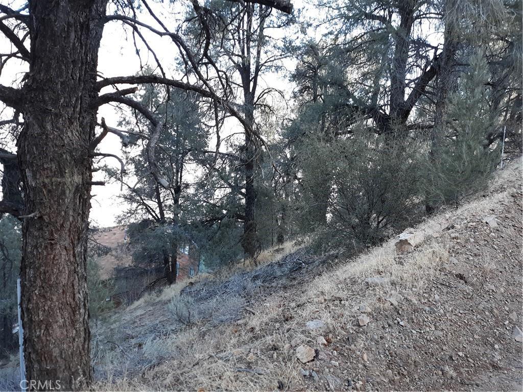 0 Oakmont Dr, Frazier Park, CA 93225 - photo 1
