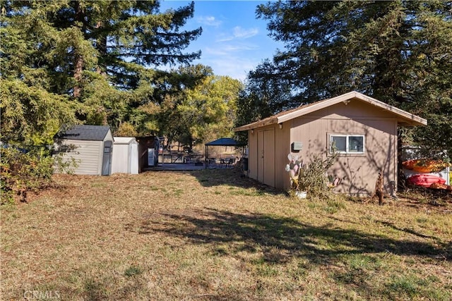 view of yard featuring a storage shed