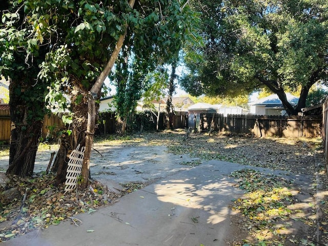 view of yard featuring a patio