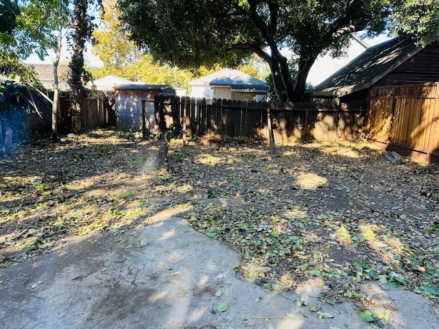 view of yard featuring a storage shed