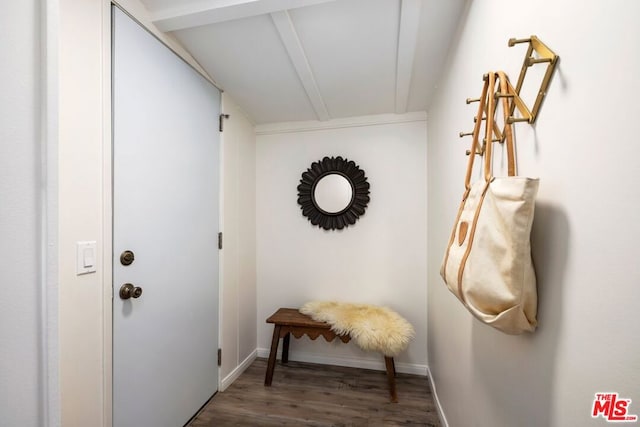 doorway to outside featuring dark wood-type flooring