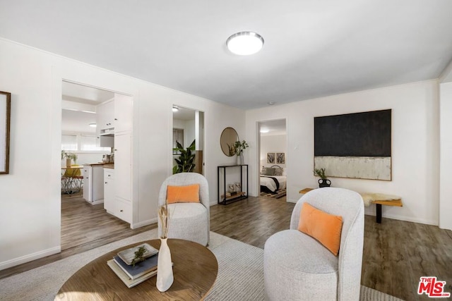 living room with wood-type flooring