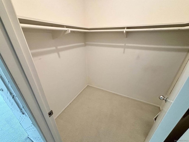 spacious closet with light carpet