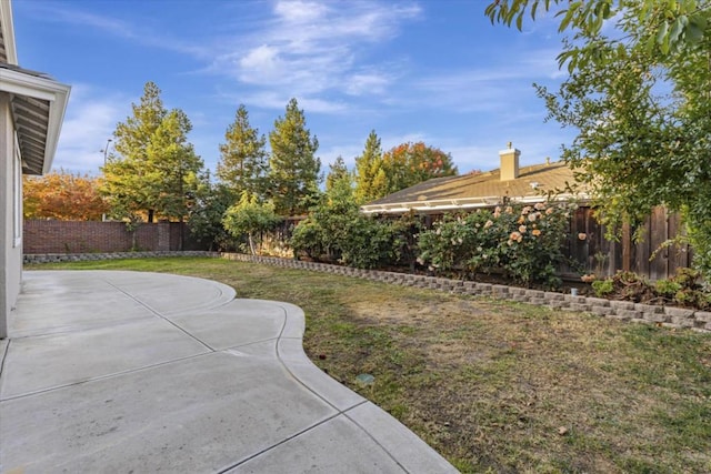 view of yard featuring a patio