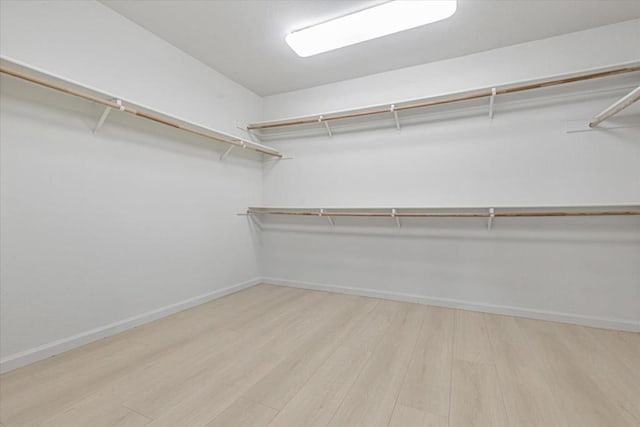 spacious closet with light hardwood / wood-style flooring