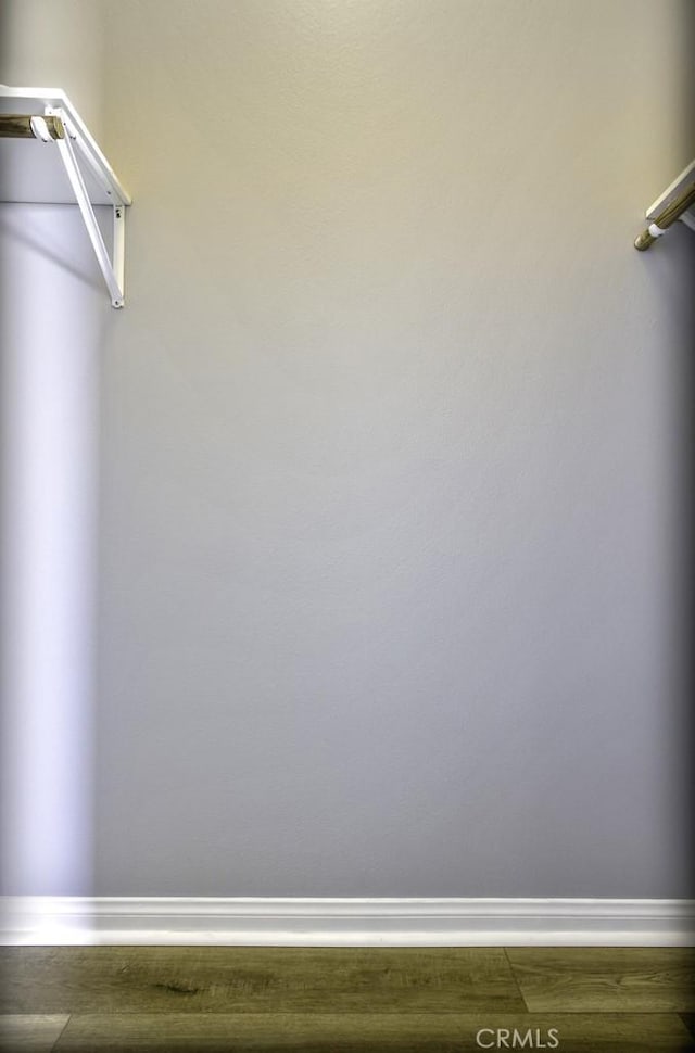 spacious closet featuring wood-type flooring