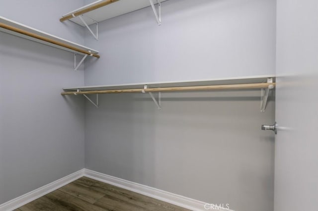 spacious closet featuring dark wood-type flooring