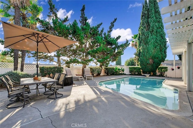 view of swimming pool with a patio