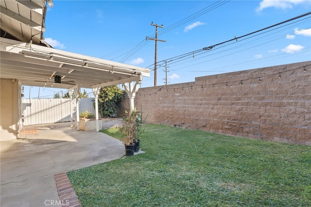 view of yard featuring a patio area