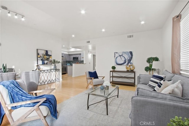 living room with light wood-type flooring