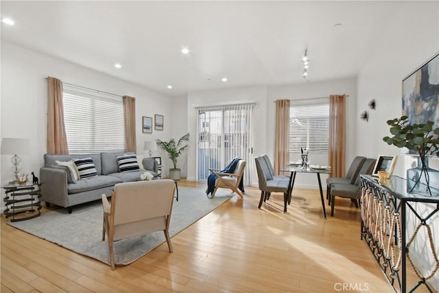 living room with light wood-type flooring