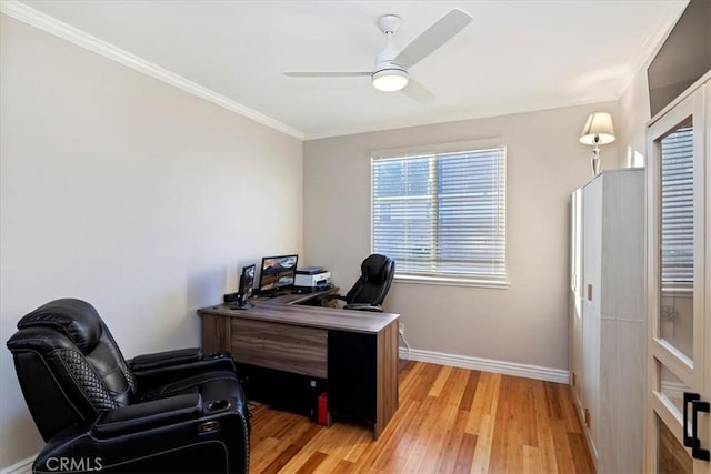 office featuring light wood-type flooring, ceiling fan, and crown molding