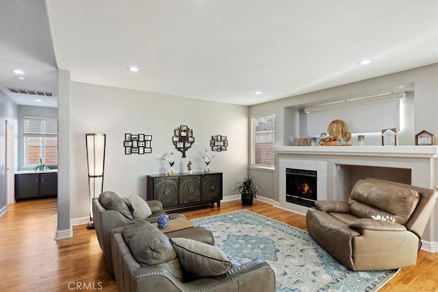 living room featuring a fireplace, hardwood / wood-style flooring, and sink