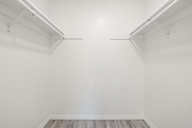 walk in closet with hardwood / wood-style flooring