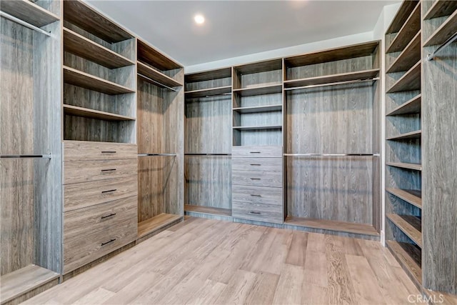 spacious closet with light hardwood / wood-style floors