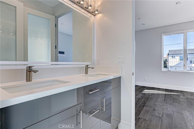 bathroom with vanity and wood-type flooring