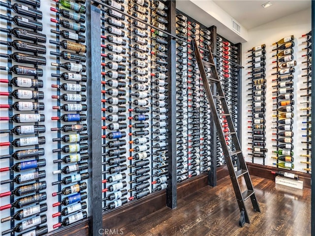 wine area featuring hardwood / wood-style flooring