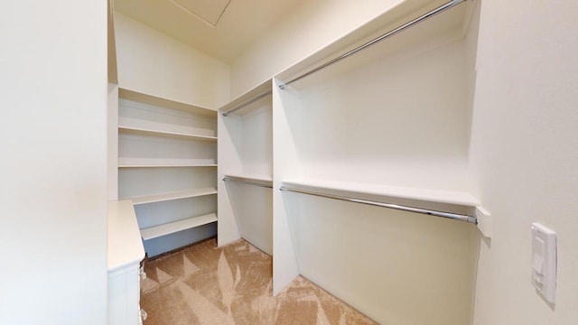 spacious closet with light colored carpet