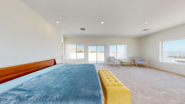 bedroom featuring carpet and multiple windows