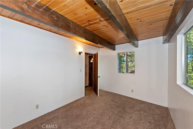 unfurnished room featuring wood ceiling, carpet floors, and a healthy amount of sunlight