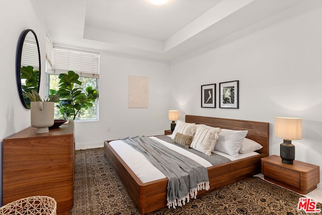 carpeted bedroom featuring a raised ceiling