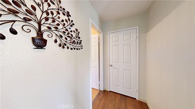 corridor featuring dark hardwood / wood-style flooring