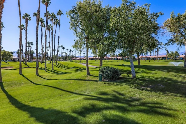 view of home's community featuring a lawn